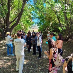 Estudiantes explorando la península de Hiroki con la guía de dos instructores.